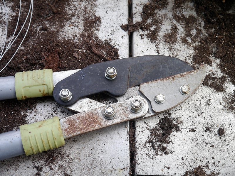Pruning Shears